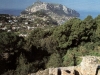 Monte Tiberio