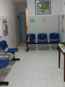 Centro Veterinario