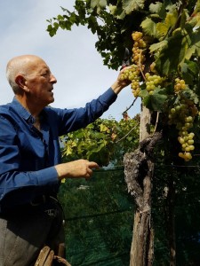 2016-10-01-PHOTO-00000024 (2)