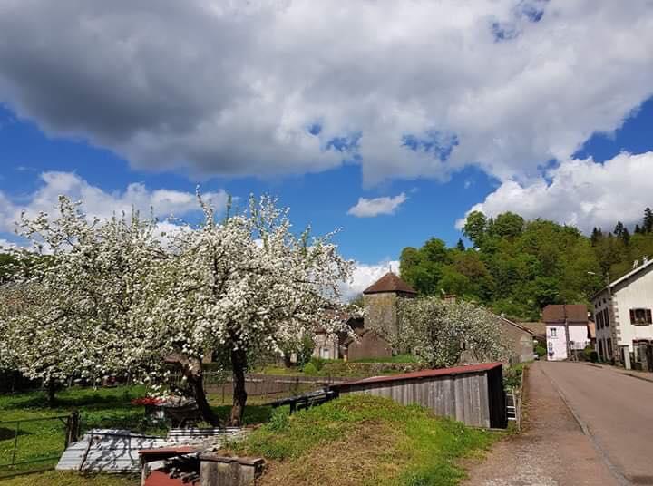 Anacapri e Faucogney Et La Mer: pronto il gemellaggio italo-francese
