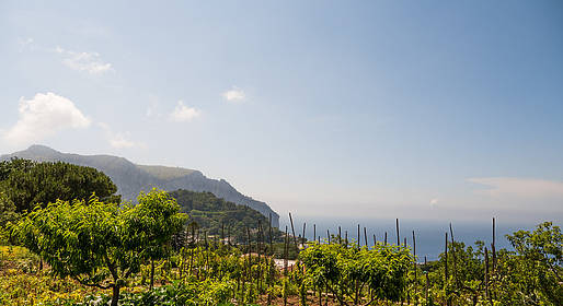 Torna la “Piedigrotta Tiberiana” musica e cultura a “Villa Jovis”