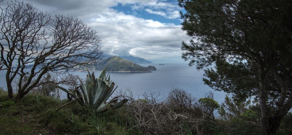 Nella villa dell’otium, perdersi nella bellezza