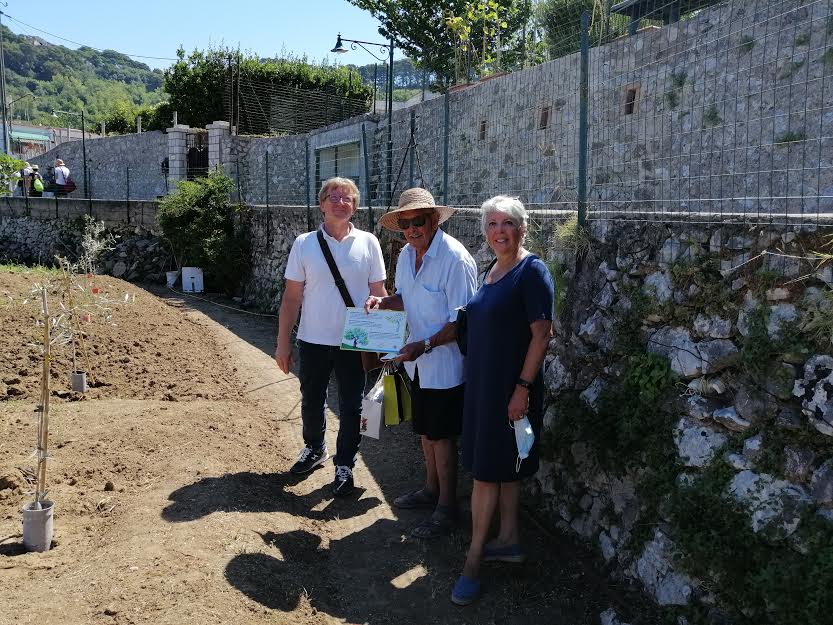 Capri: la riscoperta della terra. Torna l’ ulivo dimenticato