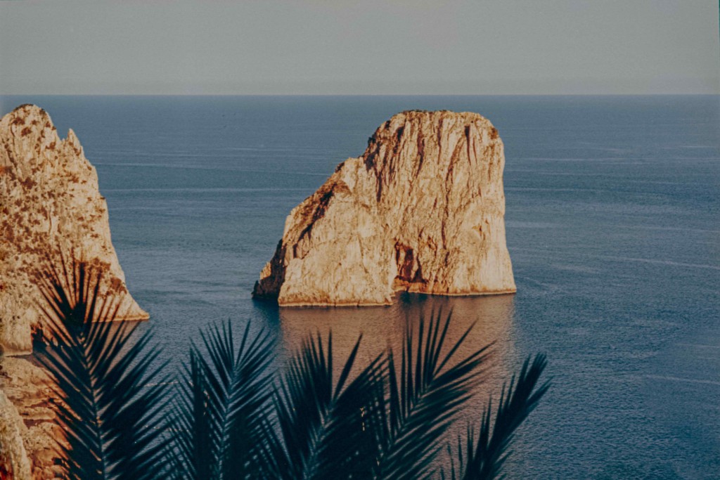 LuisaViaRoma si prepara alla due giorni di eventi a Capri in partnership con Unicef