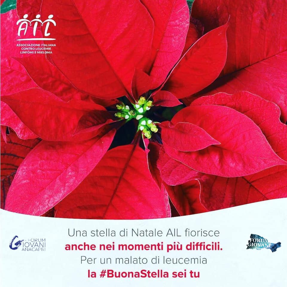 Invito del Forum dei Giovani di Anacapri: arrivano le stelle di Natale dell’AIL