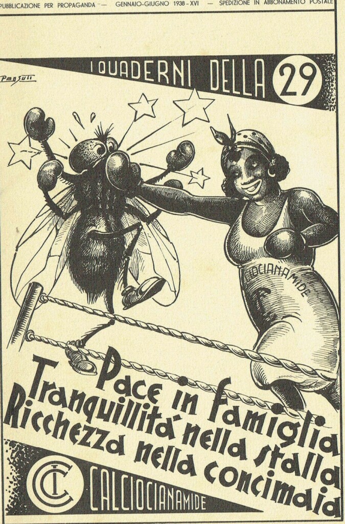 Piccole storie capresi di Luigi Lembo – La guerra delle mosche