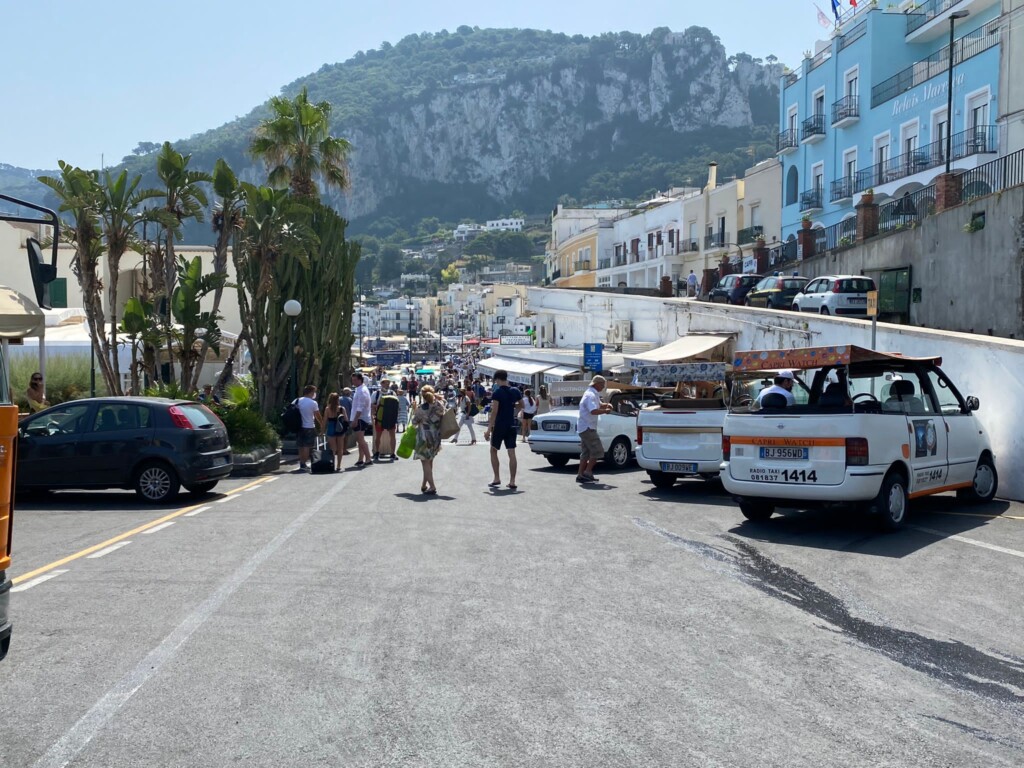 «Malore? No, autista eroe: ha salvato tutti»