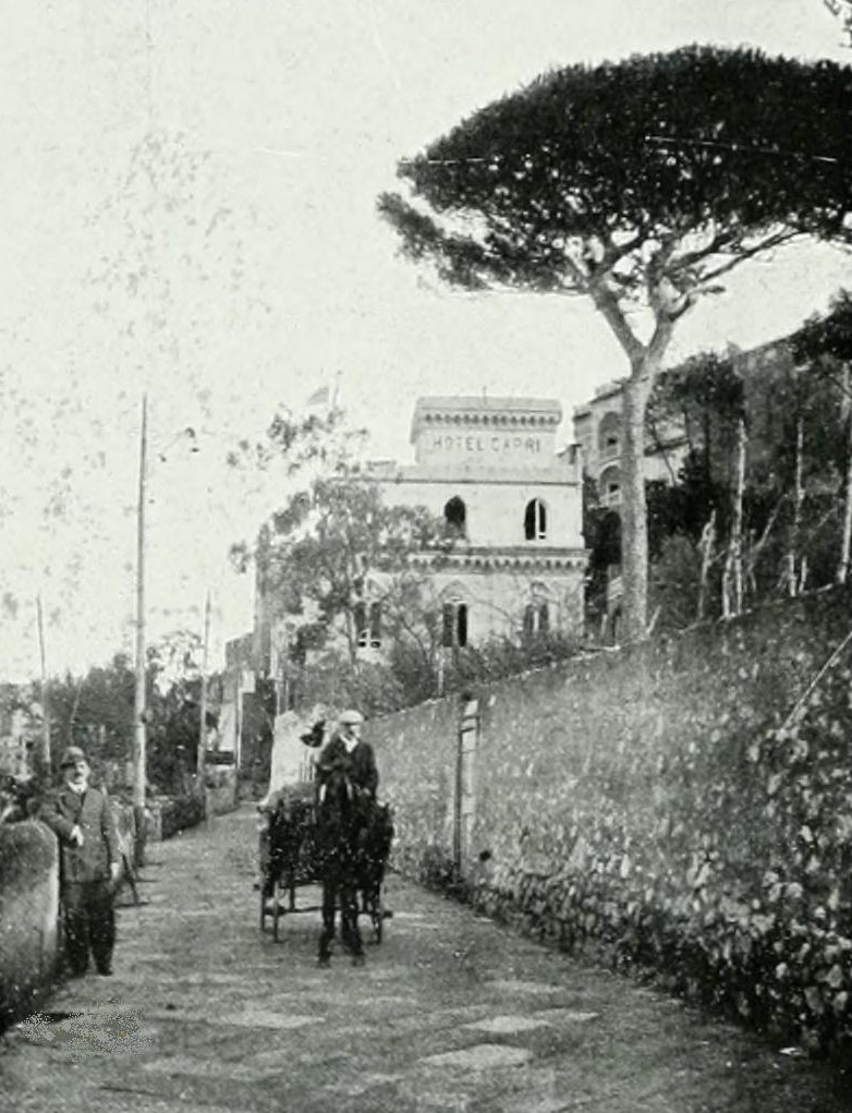 La Lettura della Domenica di Luigi Lembo – L’alcova del Re