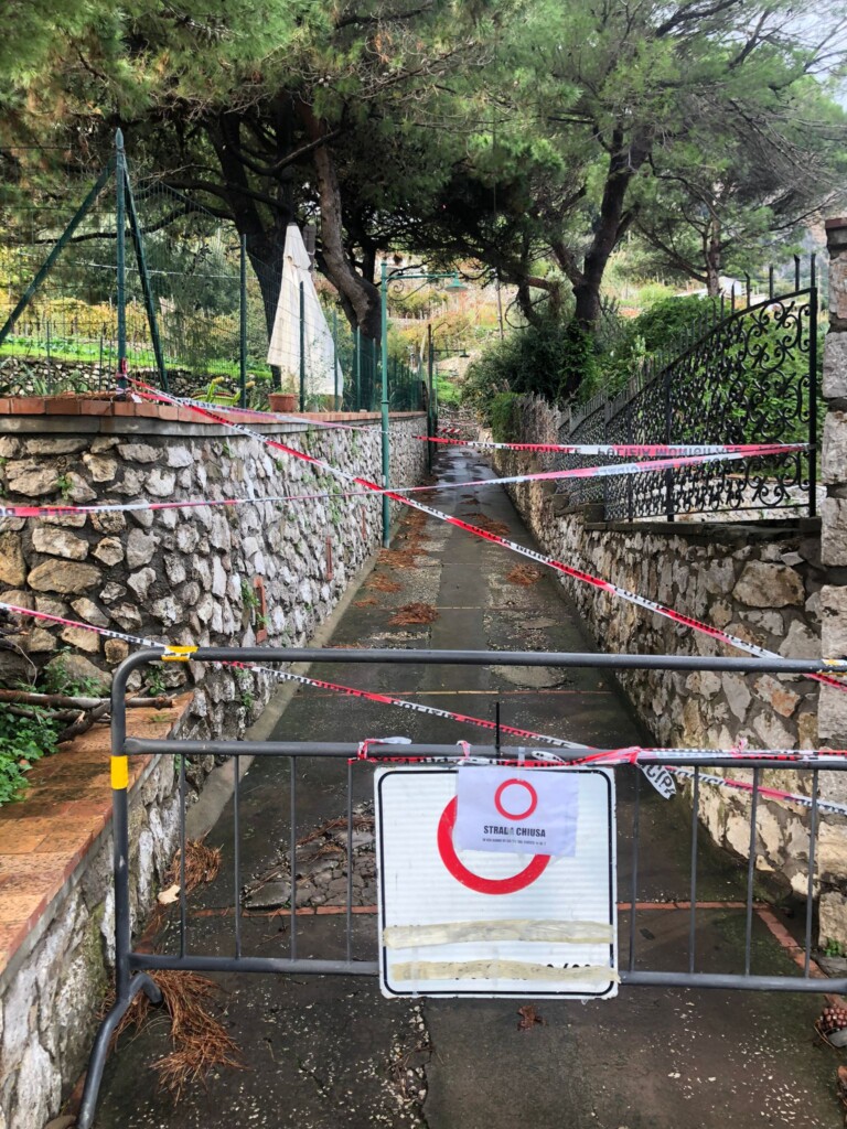 Maltempo a Capri: crolla un pino, strada chiusa al traffico