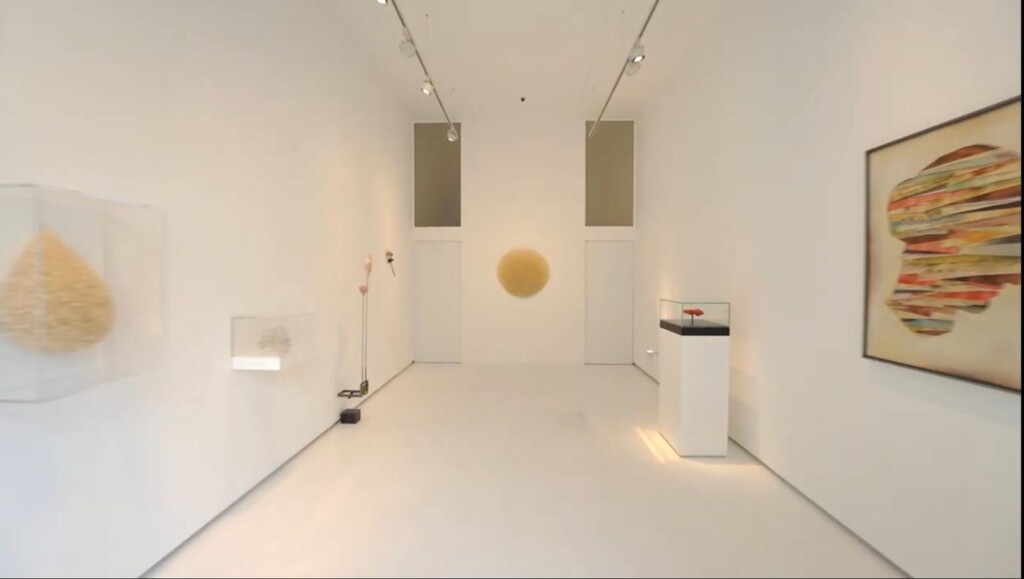 Capri: Opening, Studio Trisorio (Video)