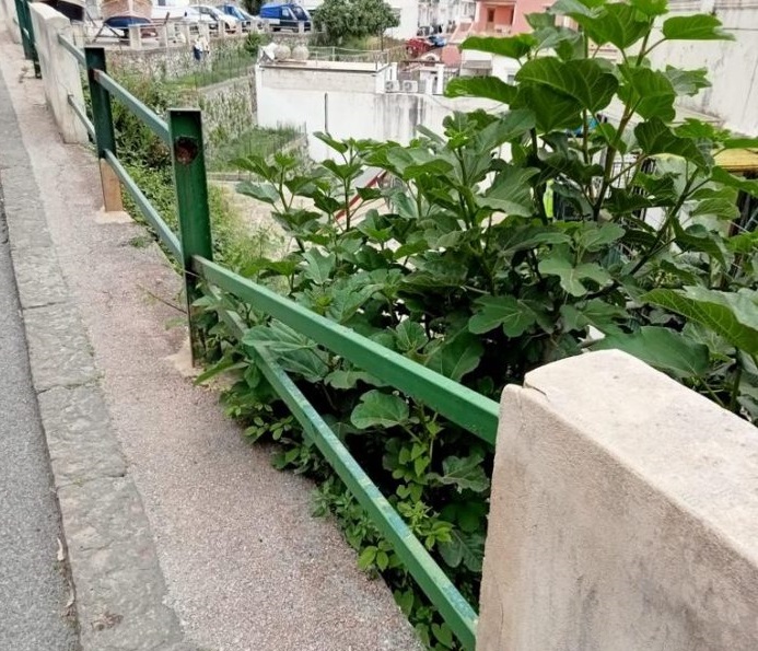 Capri, strade e parapetti pericolanti. Lavori a rilento