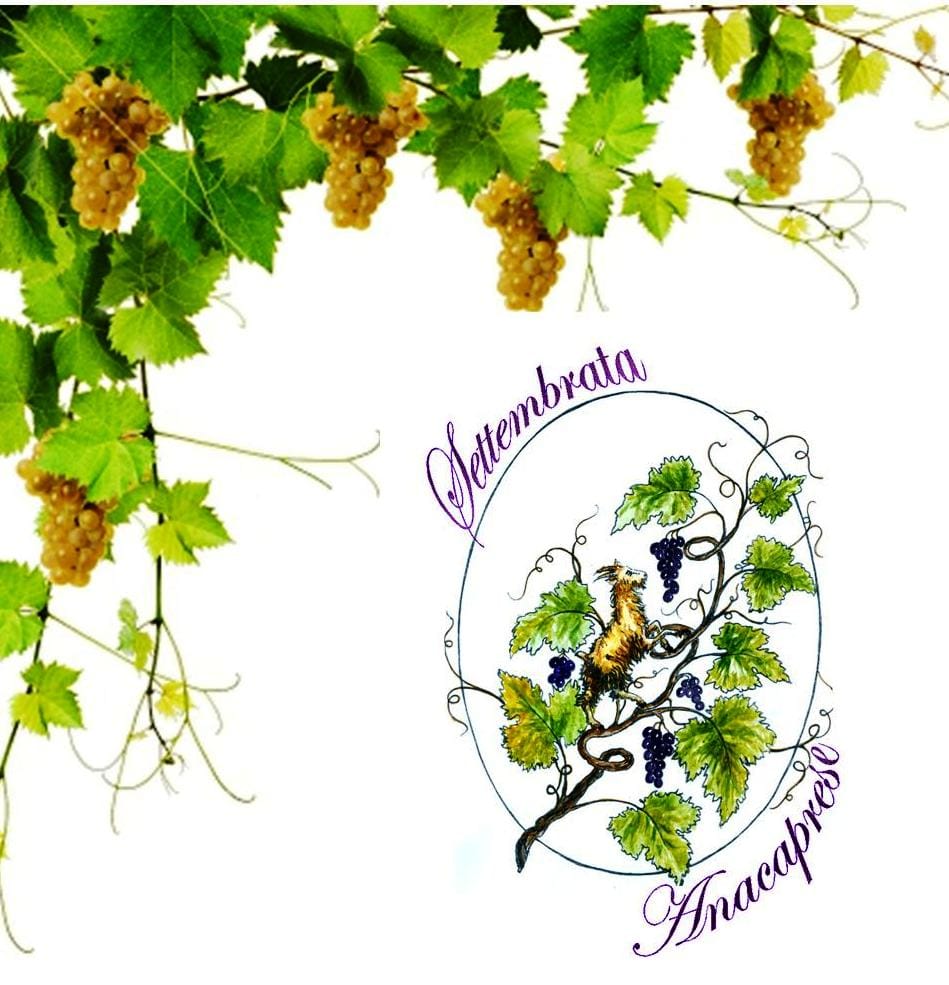 Settembrata Anacaprese, martedì 6 settembre le premiazioni (Photogallery)