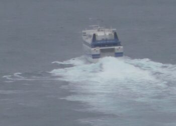 Burrasca improvvisa su Capri, cadono rami d’albero e tegole dai tetti (Photogallery)