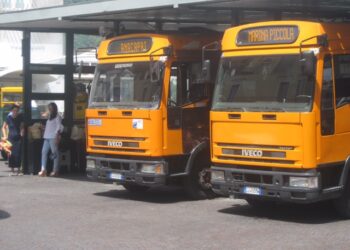 Rinnovo tesserini bus a Capri proteste e lunghe file