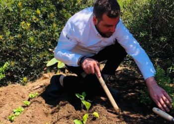 Petro’ osteria d’autore e di tradizione…contemporanea ad Avellino