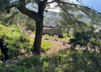 Anacapri: Via le caprette dal monte delle nuvole