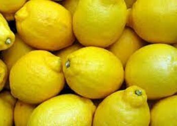 Il Limoncello: il liquore più amato della Campania