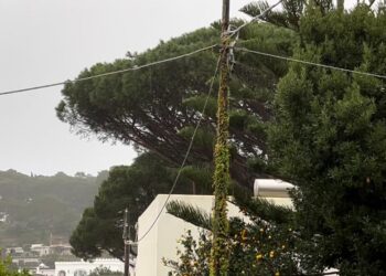 Capri al buio per 24 ore, disagi e proteste
