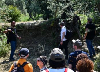 Anacapri, 3° edizione della Merenda nell’oliveta con Città dell’olio