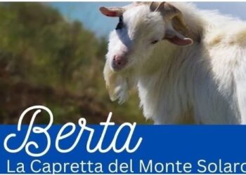 Salviamo le Capre del Monte Solaro di Capri, 5800 firme per la Petizione online su change.org