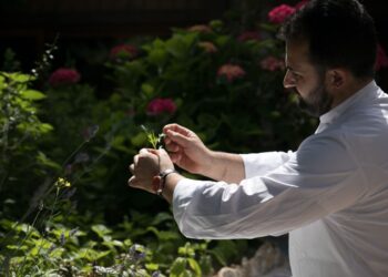 Capri – Da Tonino a Dentecala: “Origine, mutamento” seconda cena a quattro mani con Chris Oberhammer