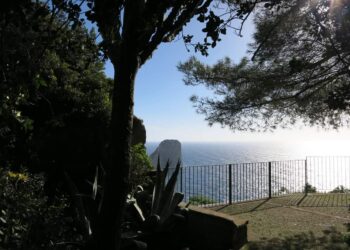 Capri, il Parco della Certosa di San Giacomo riapre al pubblico