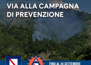 Incendi, al via campagna estiva di prevenzione Fino a settembre vietato accendere fuochi nei boschi e bruciare residui vegetali