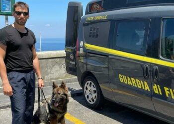Arriva a Capri “Jaqueline”. Il pastore tedesco anti droga delle Fiamme Gialle