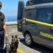 Arriva a Capri “Jaqueline”. Il pastore tedesco anti droga delle Fiamme Gialle
