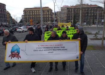 “Fermate le ruspe”: delegazione caprese alla manifestazione di Roma