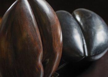 I Coco de mer di Benedetta Brachetti Peretti in mostra a Capri, alla Liquid Art System (Photogallery)