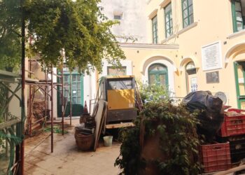 A Capri è polemica: Rimosso l’elce di Augusto, l’UNC chiede al Comune l’accesso agli atti