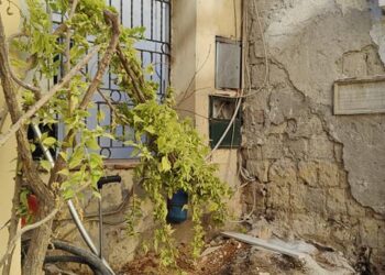 Unione Consumatori di Capri: “salviamo l’Elce di Augusto”