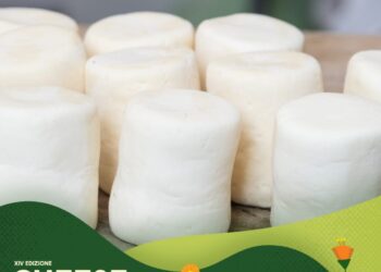 Al via l’edizione “Cheese 2023” con degustazione di formaggi dal tutto il mondo