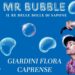Città di Capri, Assessorato all’Infanzia: MR BUBBLE, oggi 8 settembre ore 17.00 ai giardini della Flora Caprense