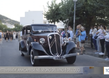 TGR: “SETTEMBRATA” ANACAPRESE NEL SEGNO DEL VINO E DELL’OLIO (VIDEO)