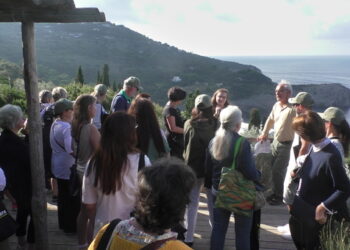 L’Oro di Capri: paesaggisti internazionali in escursione negli oliveti di Anacapri (Photogallery)