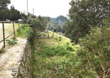 A Capri valutazione ambientale per il museo contadino di fondo Poma