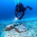 Reperti archeologici rinvenuti sui fondali di Capri