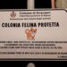 Anacapri animalista vara un bilancio comunale speciale per gatti
