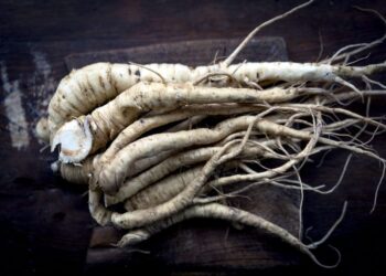 Pastinaca di Capitagnano e cipolla di Bagno: arriva la tutela