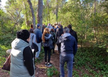 A Capri protesta per il verde