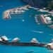 Allarme Federalberghi isola di Capri sulla capienza dei nuovi aliscafi