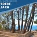 Anacapri: Sistemazione belvedere Migliara (Gallery)