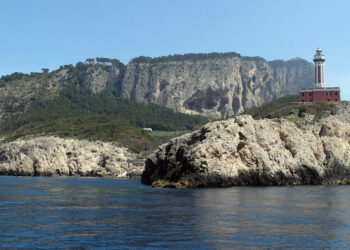 Il giallo sul mistero di Pamela Reynolds nel libro dello scrittore Antonio Corbisiero