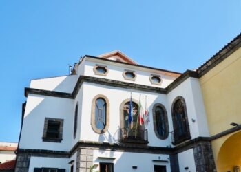 Convegno a Sorrento: Pochi addetti ai lavori. Mauro Di Mauro lancia un sos al Governo