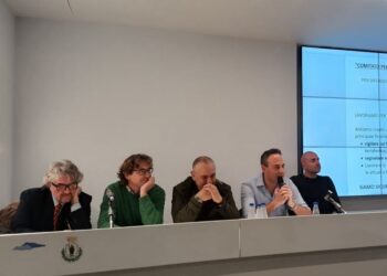 Comitato Utenti del Trasporto Pubblico e comuni di Capri e Anacapri, linea programmatica sui trasporti marittimi