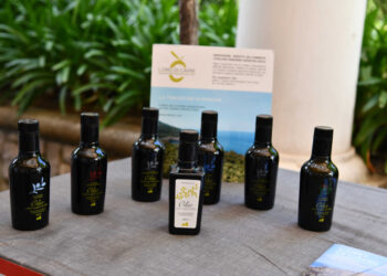 A Olio Capitale l’olio di Anacapri che viene da alcuni degli ulivi piu’ antichi della Campania