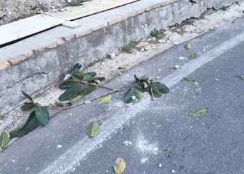 Ordinanza del Comandante De Marini, di interdizione al traffico veicolare e pedonale per un tratto di strada della provinciale Capri – Marina Piccola, a seguito della caduta franosa di ieri
