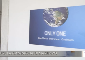 TGR: Capri, La Campagna di Marevivo (Video)